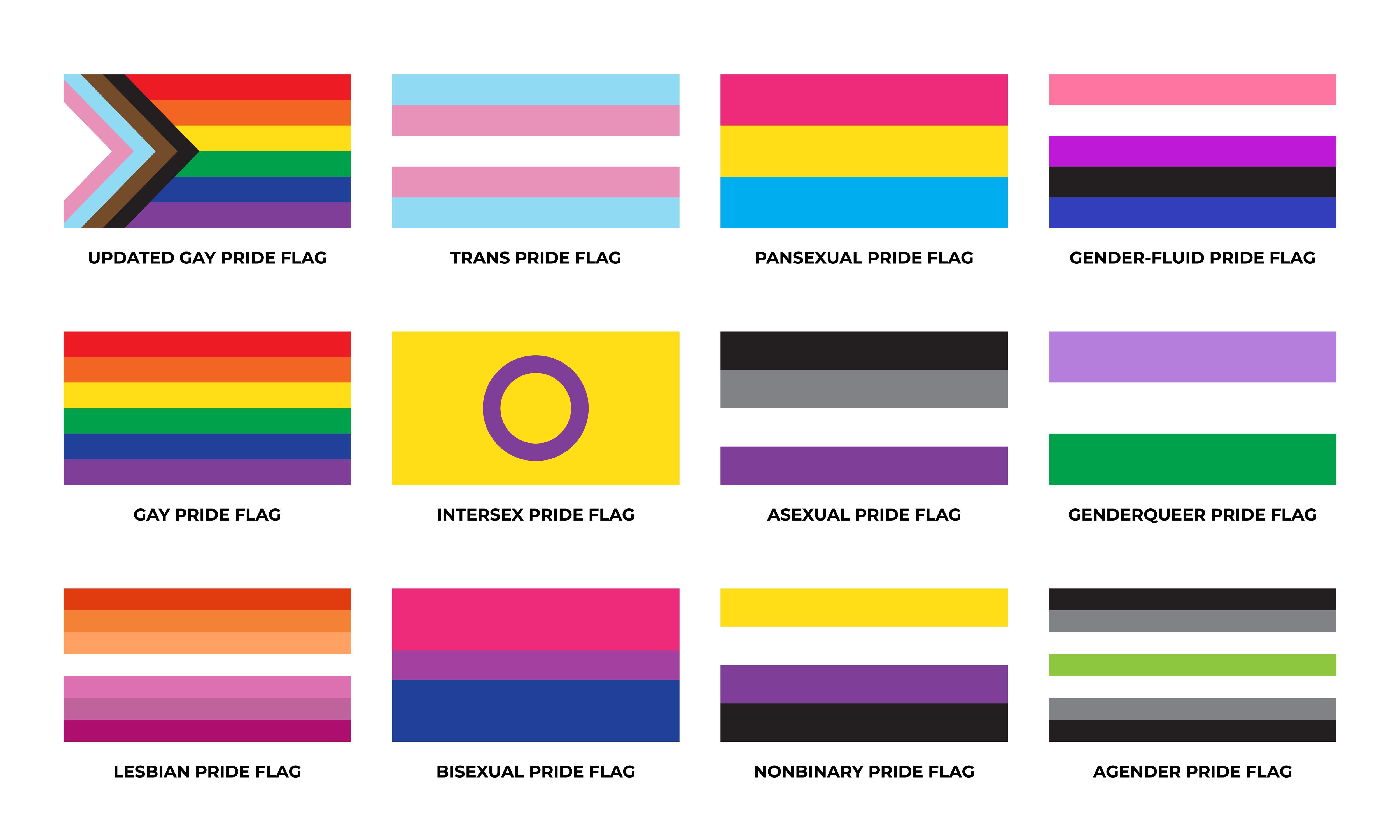 Poznáte jednotlivé sexuální orientace a identity a jejich vlajky?