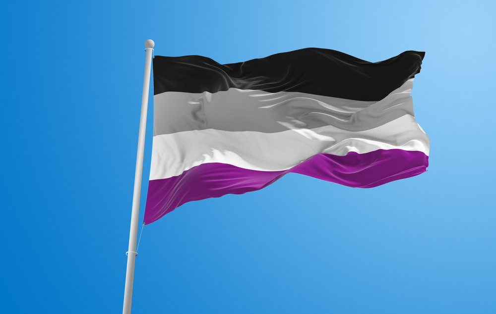 Znáte barvy a vlajku asexuality?