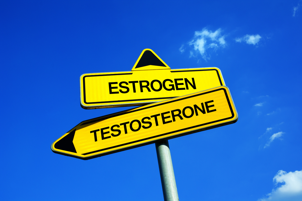 Estrogen nebo testosteron?