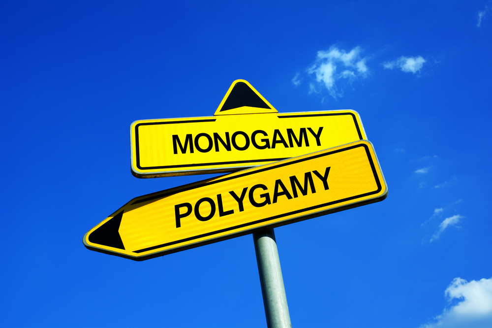 Vyberete si monogamní nebo nemonogamní vztah?