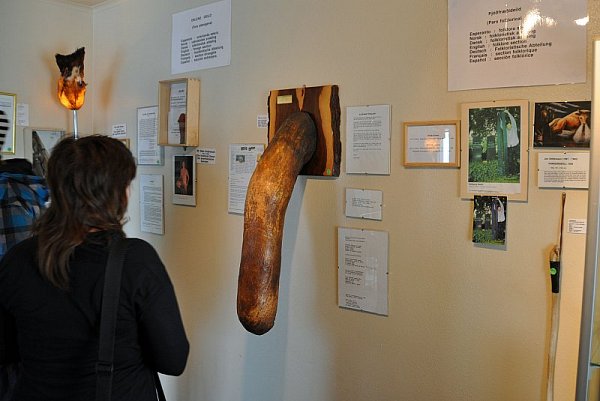 Islandské muzeum penisů