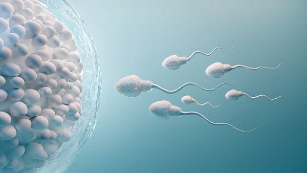 Spermie ohroženým druhem